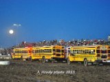 DSC_2676.jpg